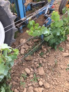 labour charrue vignoble mandois